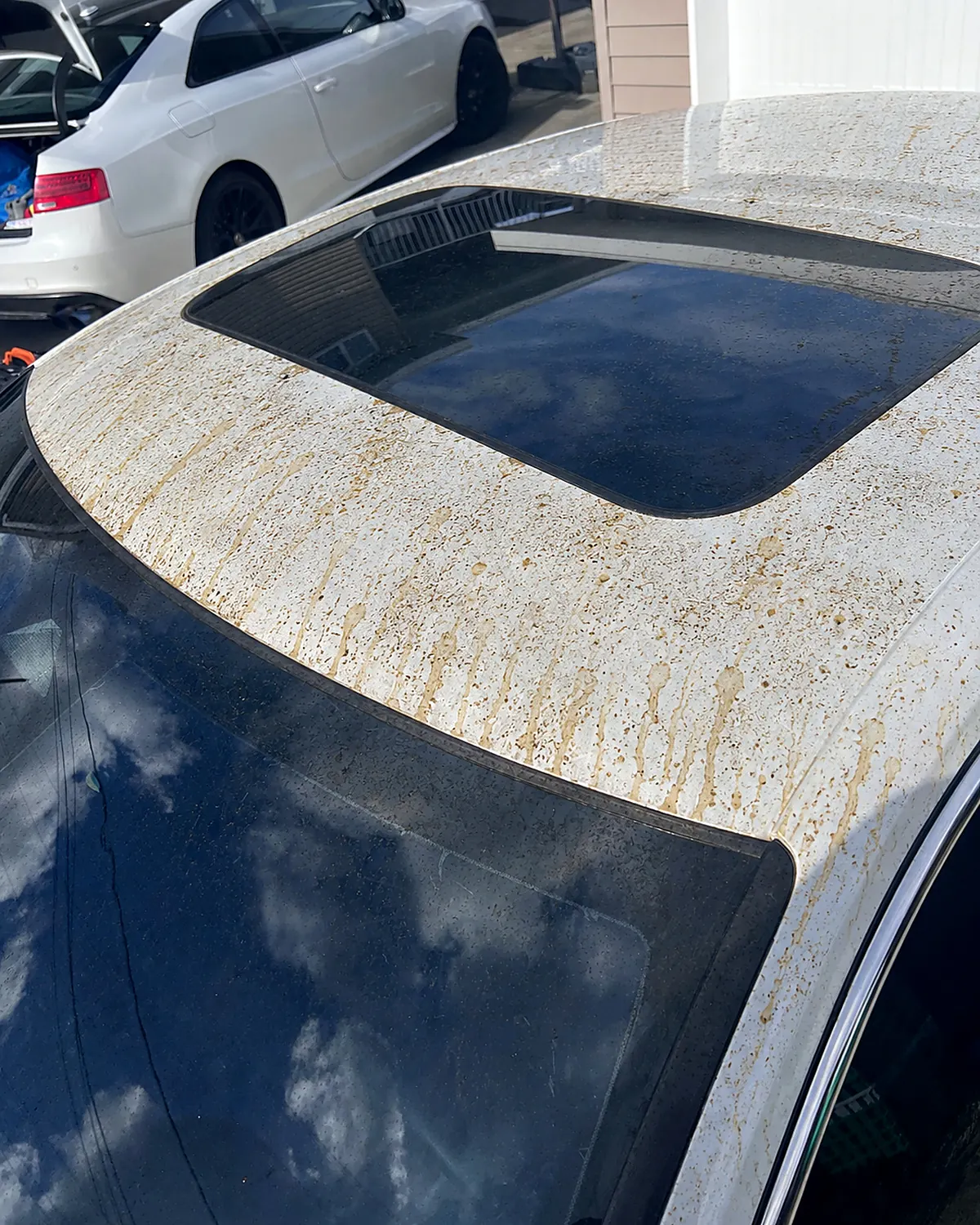 A white car roof and sunroof surround covered in dried amber streaks of tree sap and pollen
